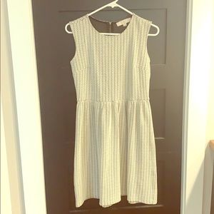 Ann Taylor Loft Dress